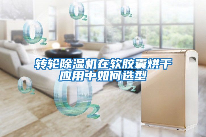 轉輪除濕機在軟膠囊烘干應用中如何選型