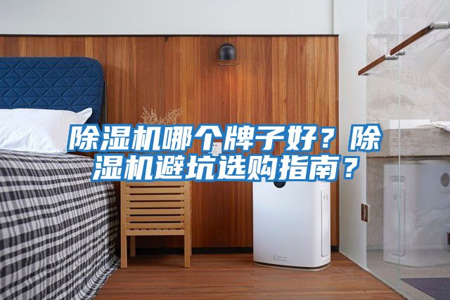 除濕機哪個牌子好？除濕機避坑選購指南？