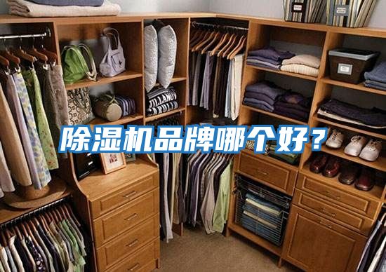 除濕機品牌哪個好?
