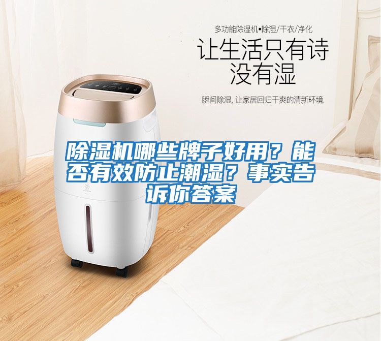 除濕機(jī)哪些牌子好用?能否有效防止潮濕?事實告訴你答案