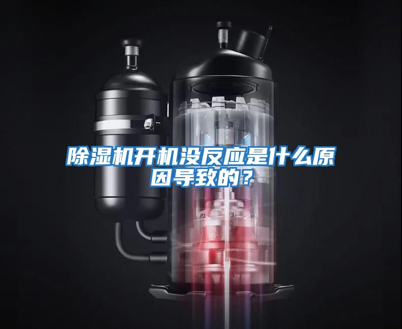 除濕機開機沒反應是什么原因導致的？