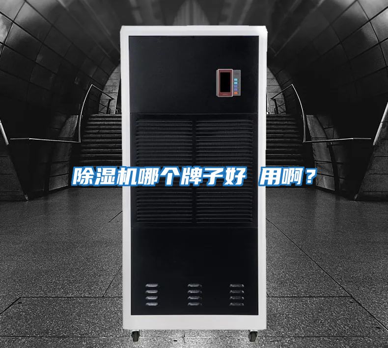 除濕機哪個牌子好 用啊?