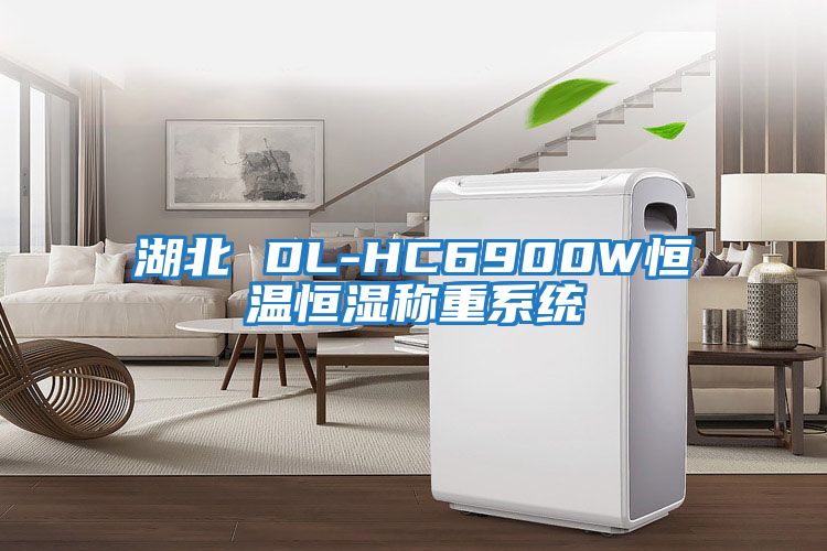 湖北 DL-HC6900W恒溫恒濕稱重系統
