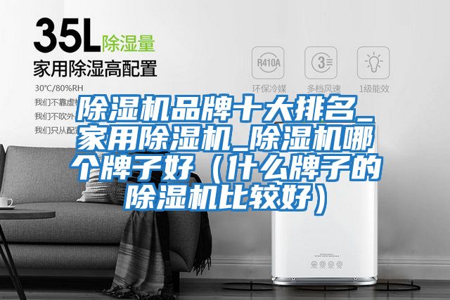 除濕機(jī)品牌十大排名_家用除濕機(jī)_除濕機(jī)哪個牌子好(什么牌子的除濕機(jī)比較好)