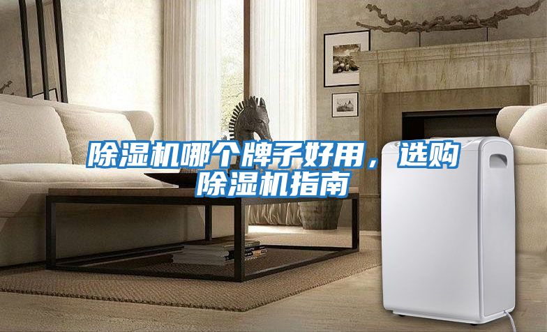 除濕機哪個牌子好用，選購除濕機指南