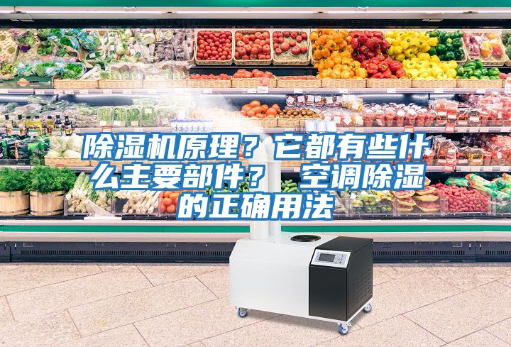 除濕機原理？它都有些什么主要部件？ 空調除濕的正確用法