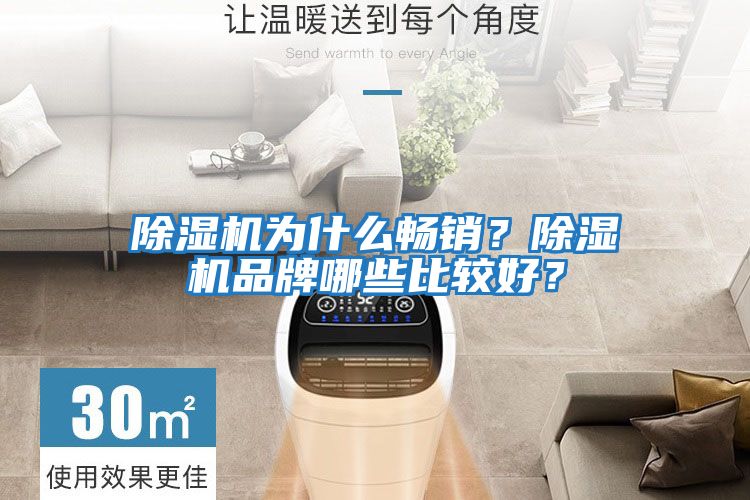 除濕機為什么暢銷？除濕機品牌哪些比較好？