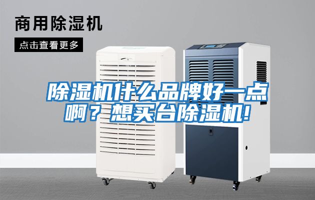 除濕機什么品牌好一點啊？想買臺除濕機!