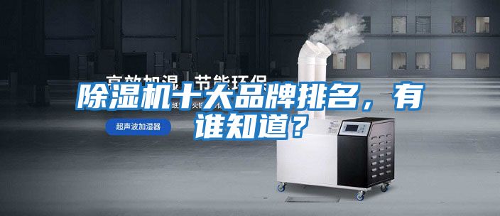 除濕機十大品牌排名，有誰知道？
