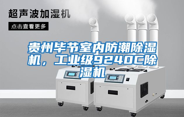 貴州畢節室內防潮除濕機，工業級9240C除濕機