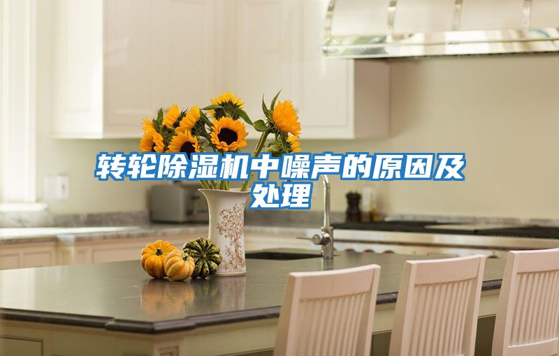 轉輪除濕機中噪聲的原因及處理
