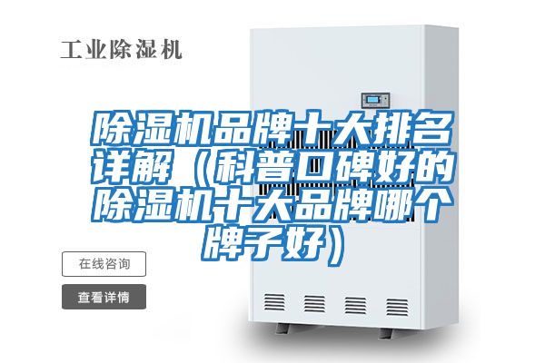 除濕機(jī)品牌十大排名詳解(科普口碑好的除濕機(jī)十大品牌哪個牌子好)
