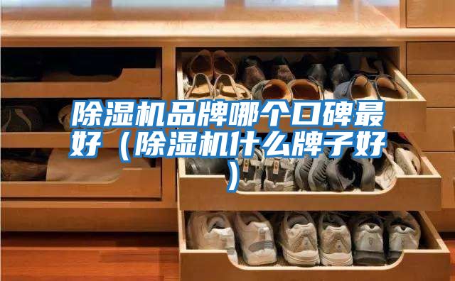 除濕機(jī)品牌哪個口碑最好(除濕機(jī)什么牌子好)