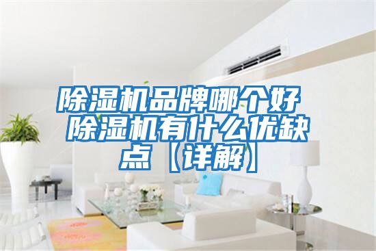 除濕機品牌哪個好 除濕機有什么優缺點【詳解】