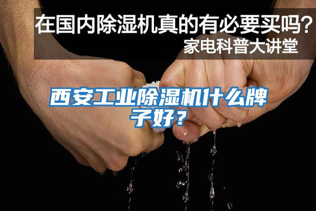 西安工業(yè)除濕機(jī)什么牌子好？