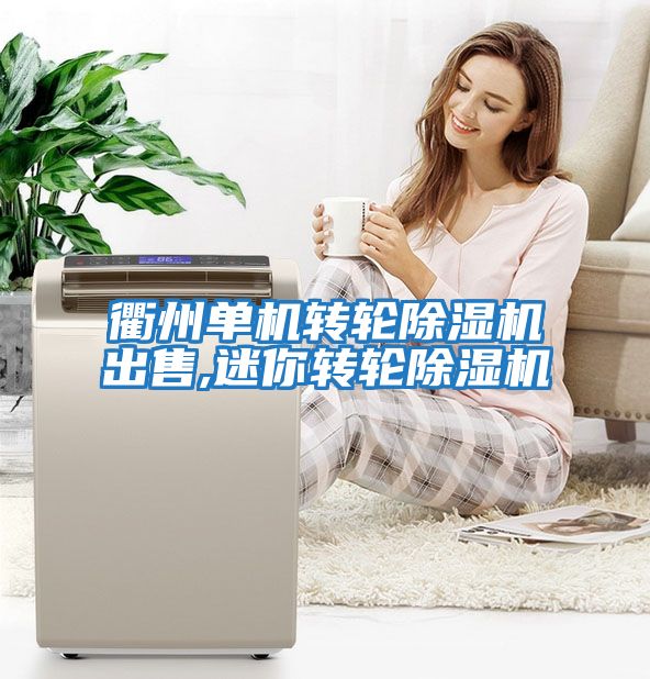 衢州單機轉輪除濕機出售,迷你轉輪除濕機