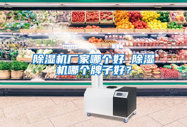 除濕機(jī)廠家哪個(gè)好 除濕機(jī)哪個(gè)牌子好？