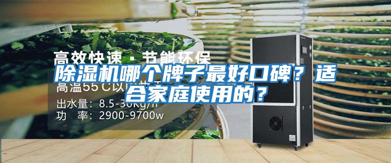 除濕機哪個牌子最好口碑？適合家庭使用的？