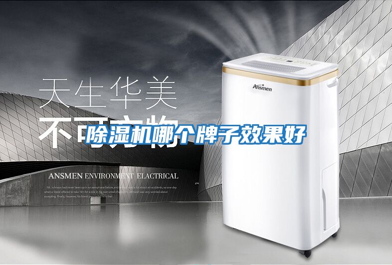 除濕機哪個牌子效果好