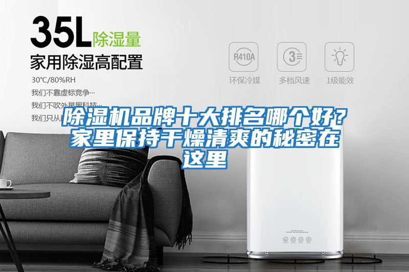 除濕機(jī)品牌十大排名哪個好?家里保持干燥清爽的秘密在這里