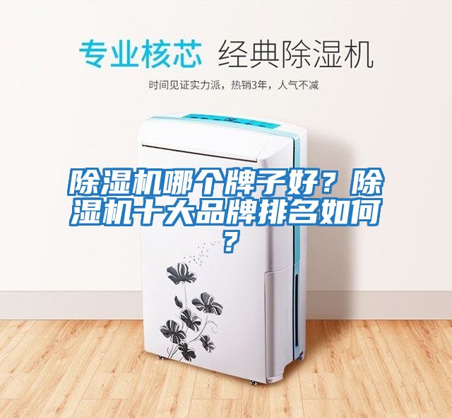 除濕機哪個牌子好？除濕機十大品牌排名如何？