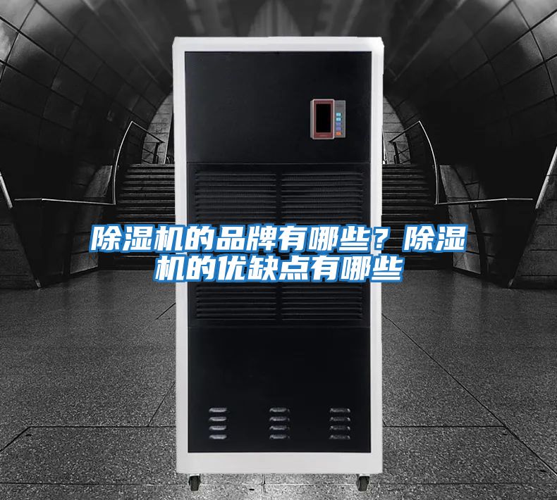 除濕機的品牌有哪些？除濕機的優(yōu)缺點有哪些
