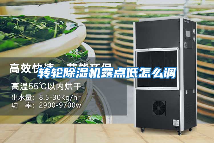 轉輪除濕機露點低怎么調