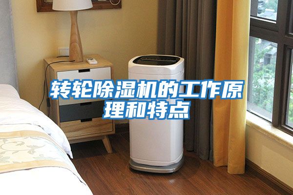轉輪除濕機的工作原理和特點