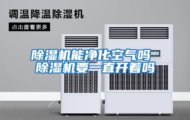 除濕機(jī)能凈化空氣嗎 除濕機(jī)要一直開(kāi)著嗎