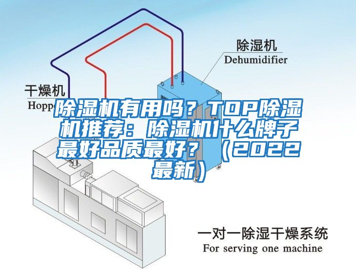 除濕機有用嗎？TOP除濕機推薦：除濕機什么牌子最好品質最好？（2022最新）