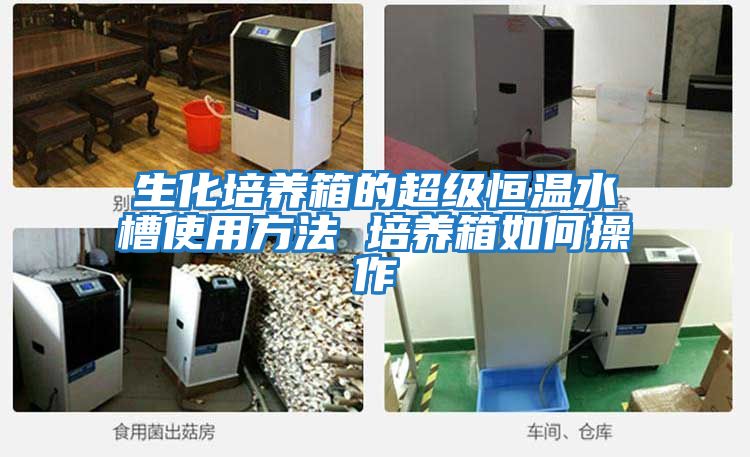 生化培養箱的超級恒溫水槽使用方法 培養箱如何操作