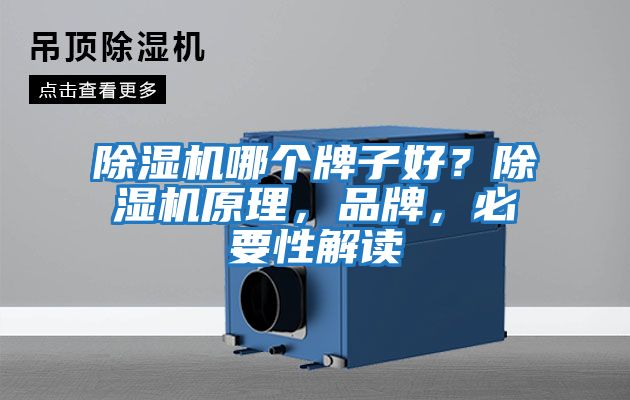 除濕機哪個牌子好？除濕機原理，品牌，必要性解讀