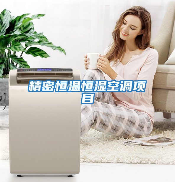精密恒溫恒濕空調項目