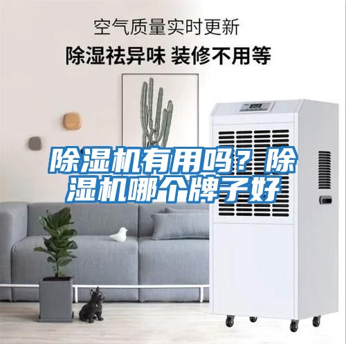 除濕機有用嗎？除濕機哪個牌子好