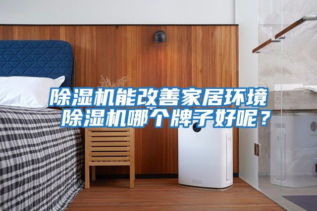 除濕機能改善家居環境 除濕機哪個牌子好呢？