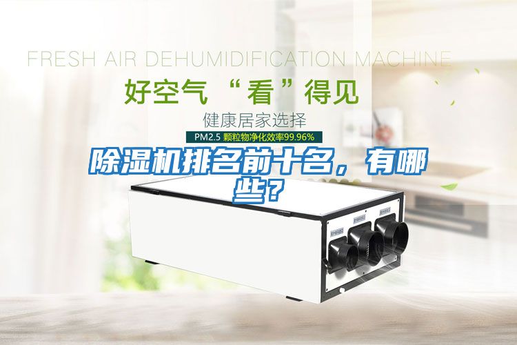 除濕機排名前十名，有哪些？