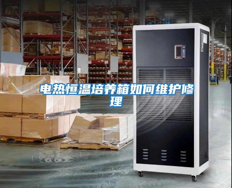 電熱恒溫培養箱如何維護修理