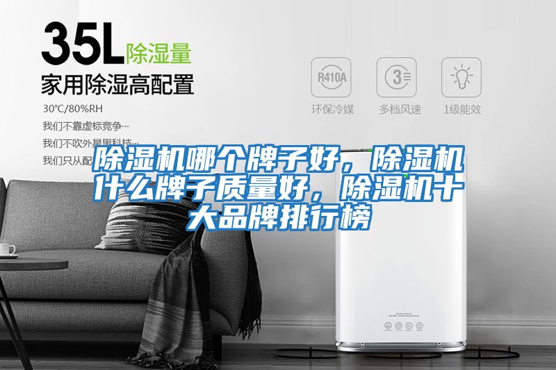 除濕機哪個牌子好，除濕機什么牌子質量好，除濕機十大品牌排行榜