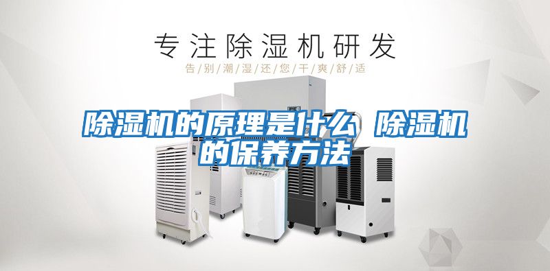 除濕機的原理是什么 除濕機的保養方法