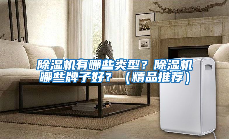 除濕機有哪些類型？除濕機哪些牌子好？（精品推薦）
