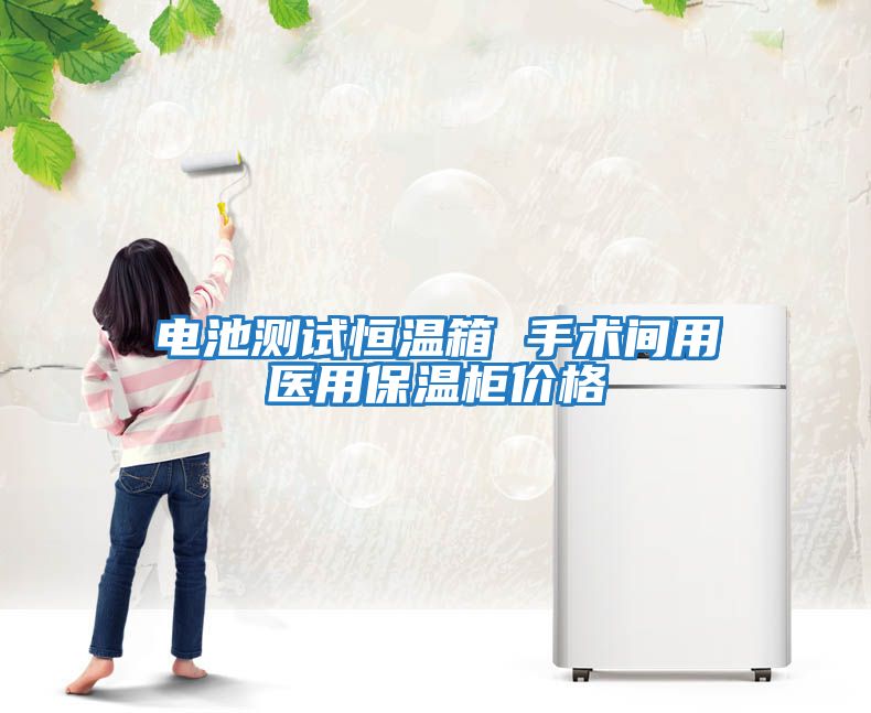 電池測試恒溫箱 手術間用醫用保溫柜價格