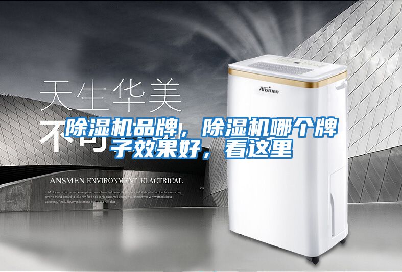除濕機品牌，除濕機哪個牌子效果好，看這里