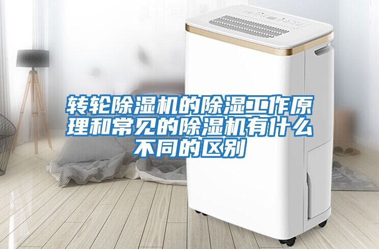 轉輪除濕機的除濕工作原理和常見的除濕機有什么不同的區別