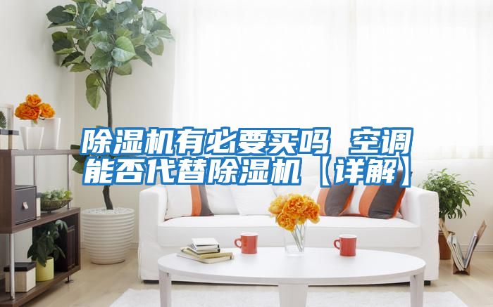 除濕機有必要買嗎 空調能否代替除濕機【詳解】