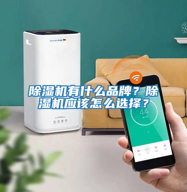 除濕機(jī)有什么品牌?除濕機(jī)應(yīng)該怎么選擇?