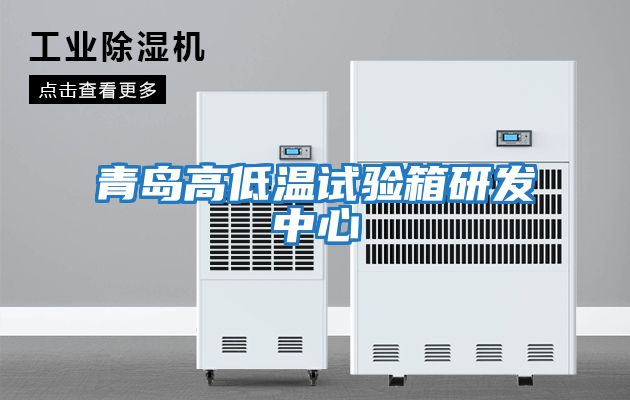 青島高低溫試驗箱研發中心