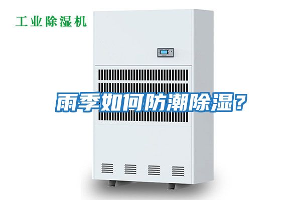 雨季如何防潮除濕?