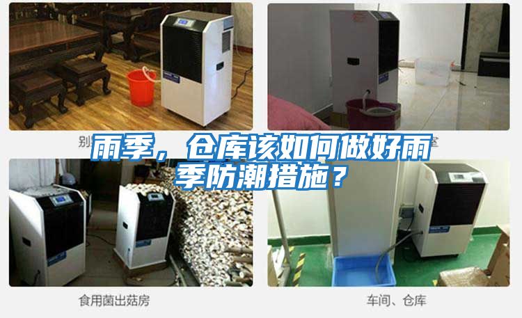 雨季,倉庫該如何做好雨季防潮措施?