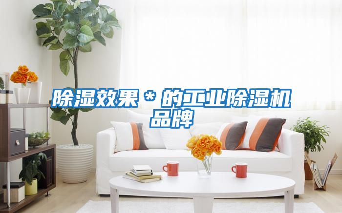 除濕效果*的工業(yè)除濕機品牌