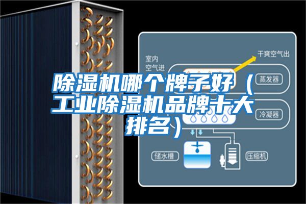除濕機哪個牌子好（工業除濕機品牌十大排名）